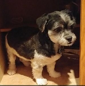 NEW ITEMS COMING SOON!